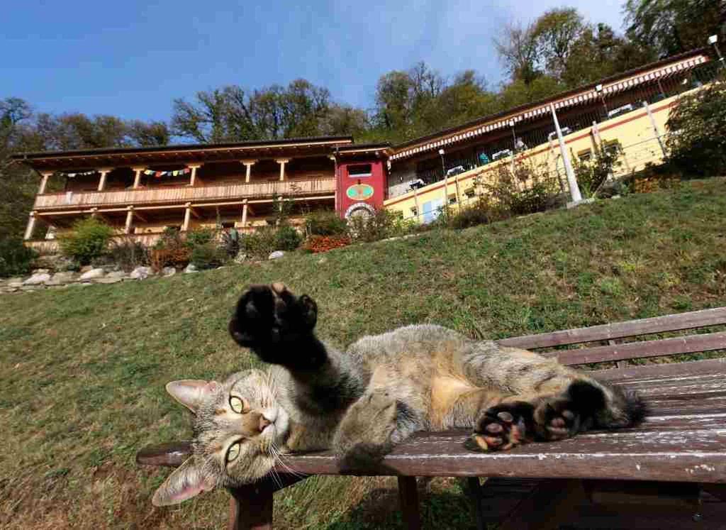 Eco Hotel Locanda Del Giglio Roveredo Capriasca エクステリア 写真